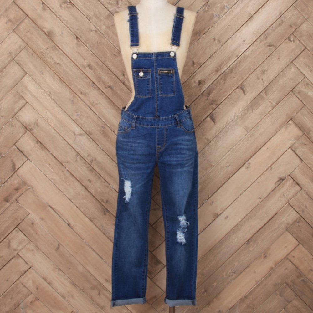 Altar’d State Destructed Overalls